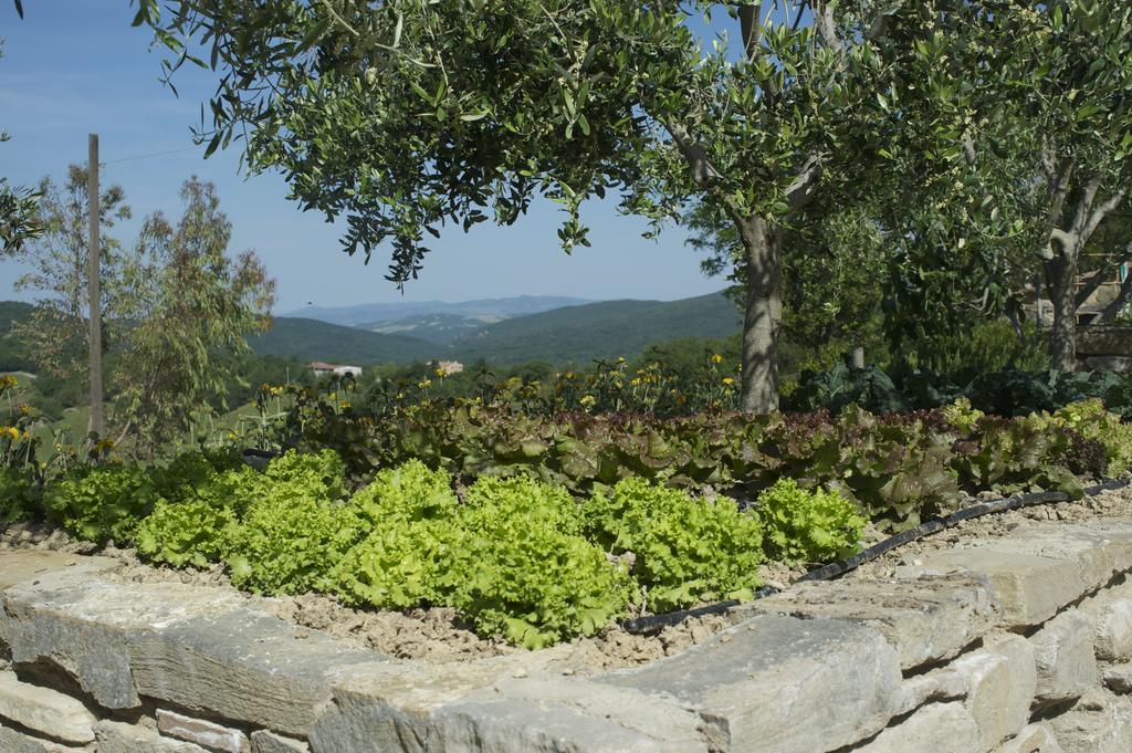 Agriturismo Erta Casole d'Elsa Exterior photo