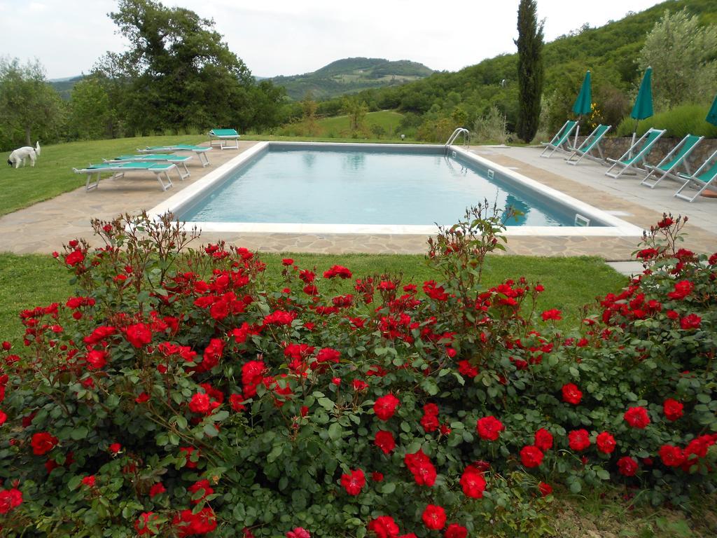 Agriturismo Erta Casole d'Elsa Exterior photo