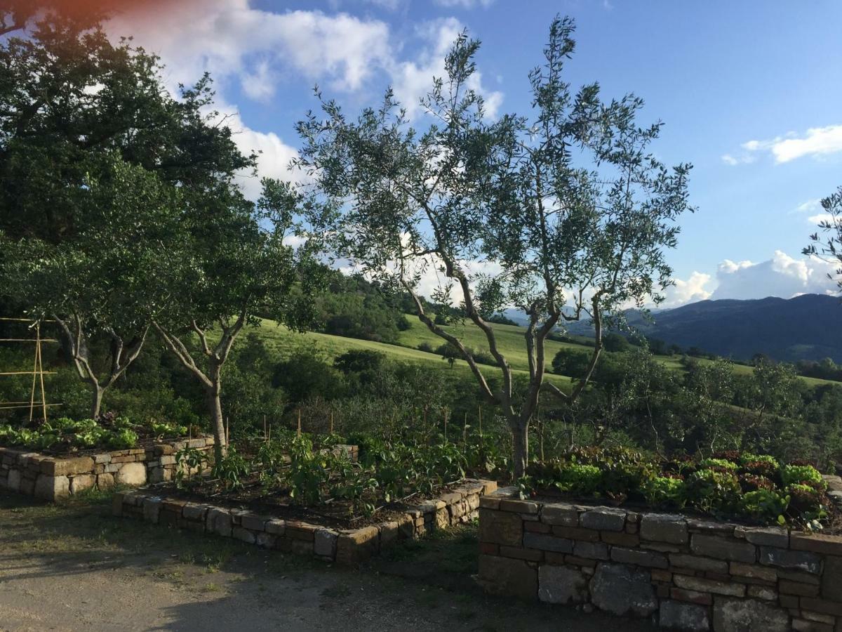 Agriturismo Erta Casole d'Elsa Exterior photo